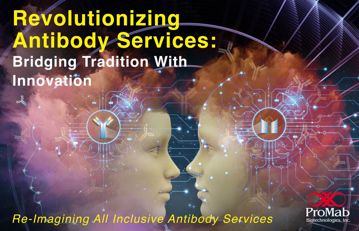 ProMabBiotech's tweet image. Developing antibodies like never before – where tradition meets AI. Your research deserves the best at ProMab Biotechnologies. Contact us today and learn more at: promab.com/custom-antibod…  #BioTechRevolution #InnovateWithPMB #ProMabBioTech #ProMabBioEra