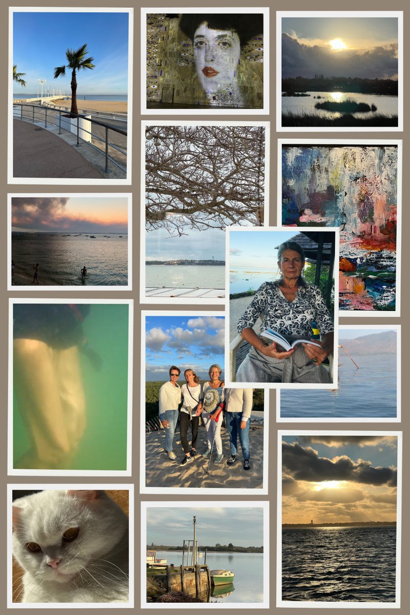 Ne nous privons plus de la magie de la nature quand elle chante pour nous. C’est le vœu que je partage avec vous pour 2024.
Merci de m’avoir lue pendant ces 13 jours.

#nostempetessontalahauteurdenosreves
#vivresavie #authenticite #ensemble