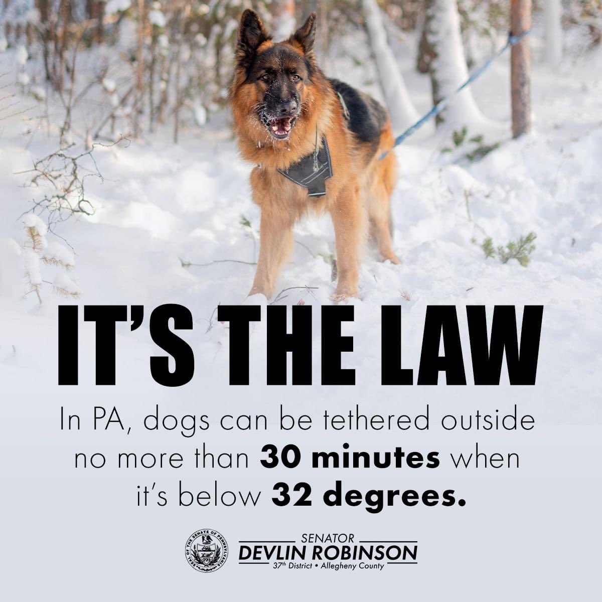Please be extra mindful of your dogs and their safety in these below freezing temperatures!