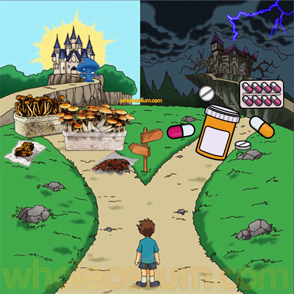 Choose your adventure 🍄/💊