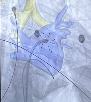 Raquel Adeliño tweet media