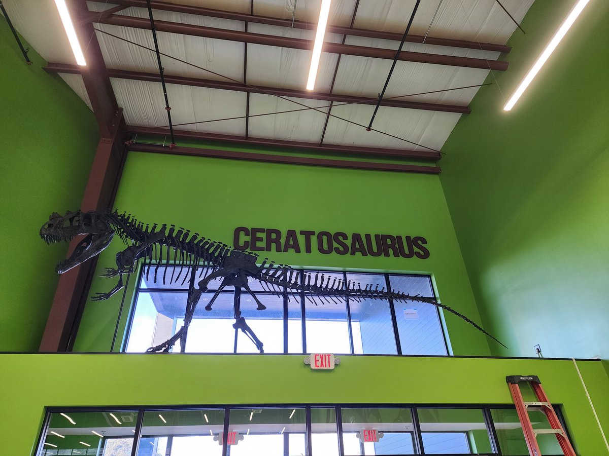 Ceratosaurus. 
Complete. ✅️