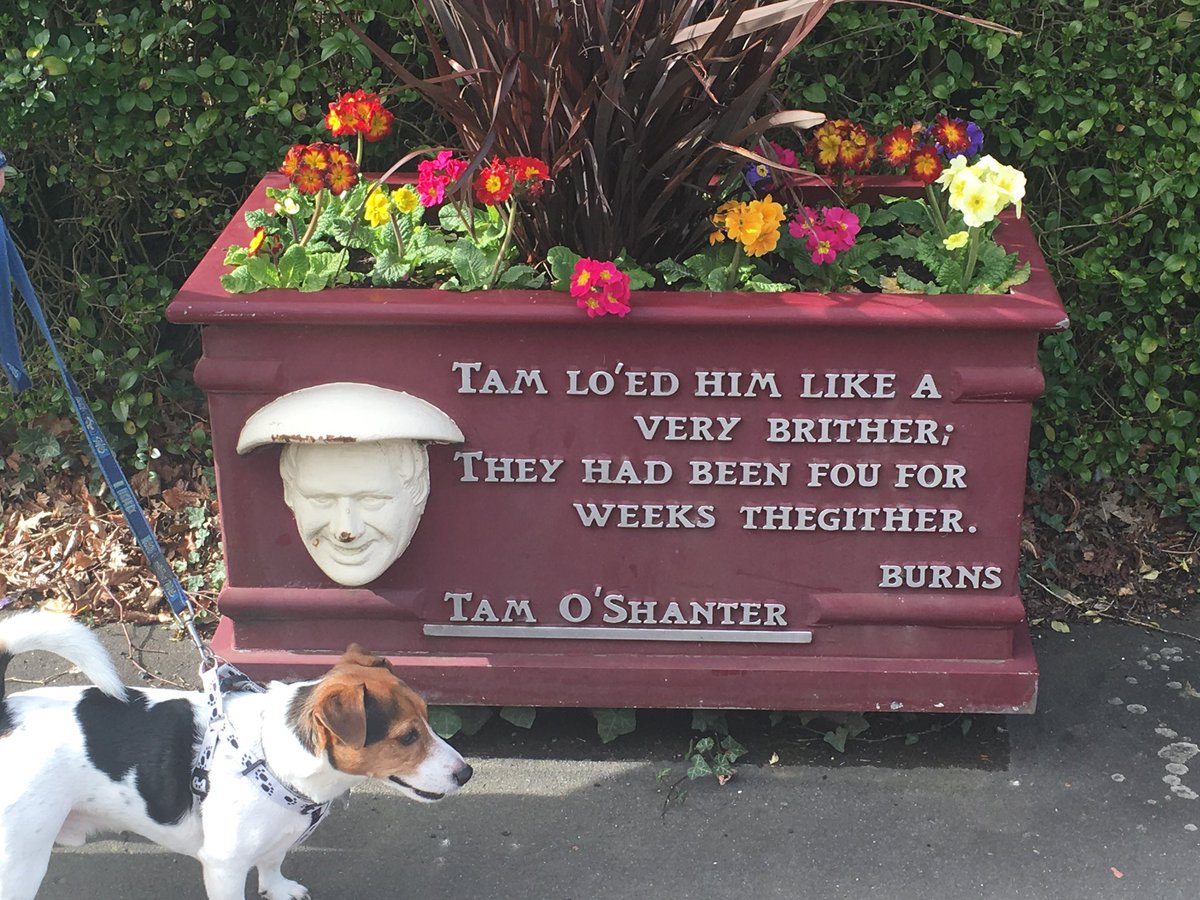PIYSBRIGADE's tweet photo. @Beverle51995260 @JackRussellBro2 @CharlieGiggles6 @Lunaandmandylou @JanejOL @HenryKeithCD you quickly blocked after being insulting and bringing my dog into it. 
He happy, loved and well cared for, friendly dog which you would know if you actually knew us. Instead you insult us and show rudeness

Yes this is the person you blocked

Oh and we love Burns too same as you https://t.co/U753fzjJ3O