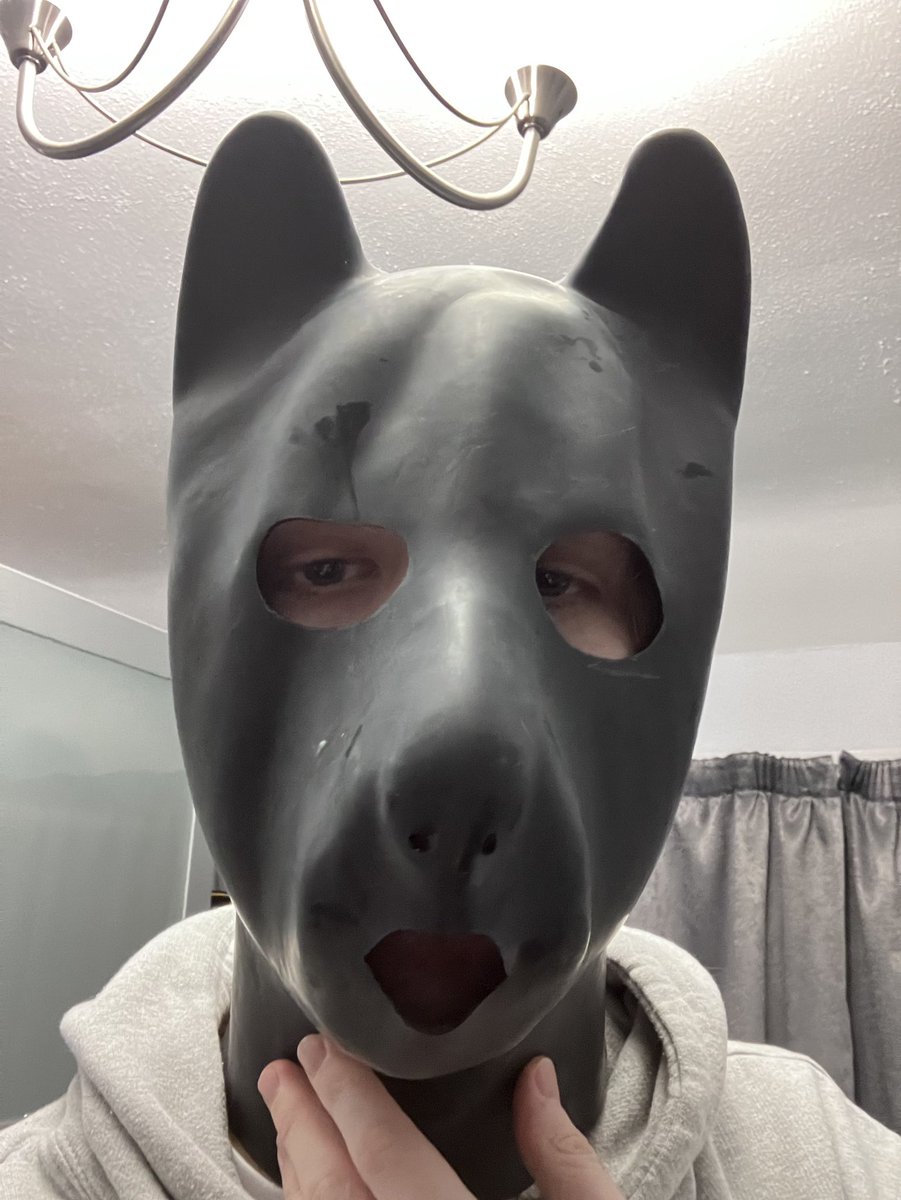 My latex pup hood has just arrived, lets fucking go. #puppy #pup #latex #rubber #bdsm #BDSM #kink #puppyplay #pupplay #humanpup #humanpup
