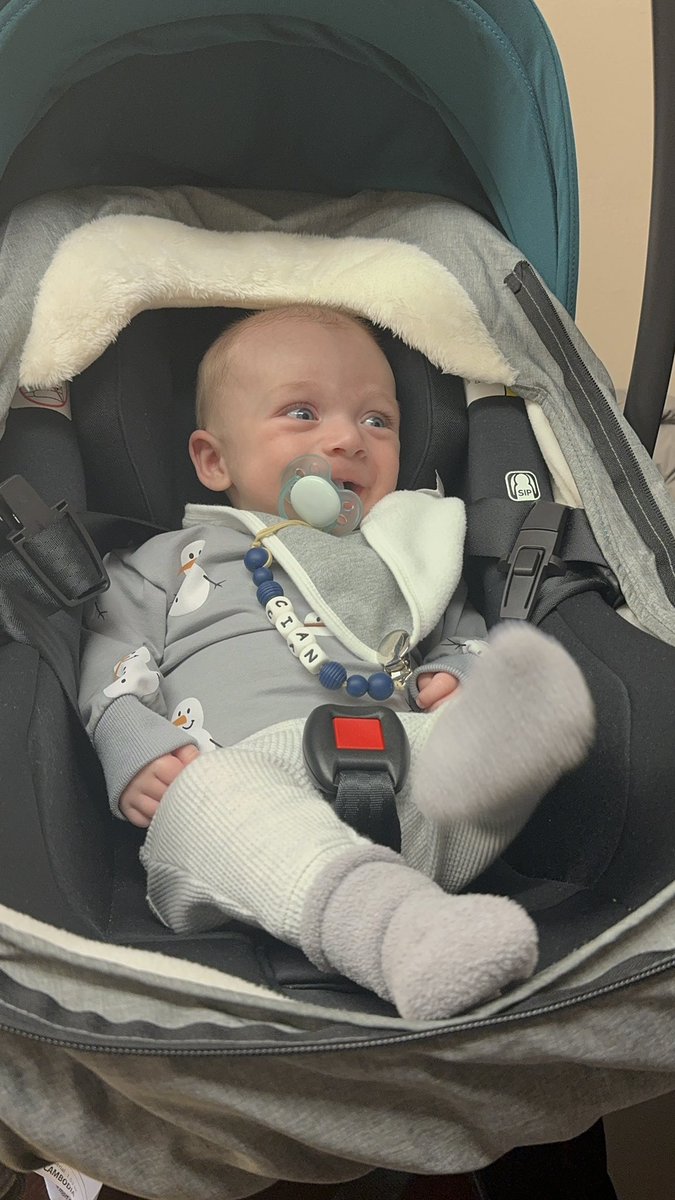 Wee had the cutest little visitor today 🤍😍 <a href="/niccinelli/">Nicole Cinelli</a>