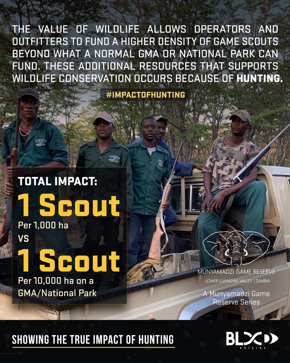the_origins_fdn's tweet photo. The Impact of Hunting 👇🏼👇🏼 https://t.co/JiLUXrcIWJ