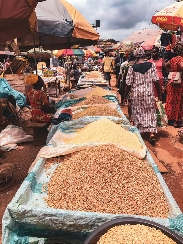 🌍 An Emory-led study, co-authored by EGDRC's <a href="/SolveigACunnin1/">Solveig Argeseanu Cunningham 🌻</a>, reveals the impact of #COVID19 lockdowns on food insecurity in Ethiopia. Findings highlight increased vulnerability in urban households. Learn more: pubmed.ncbi.nlm.nih.gov/38195646/#Glob…