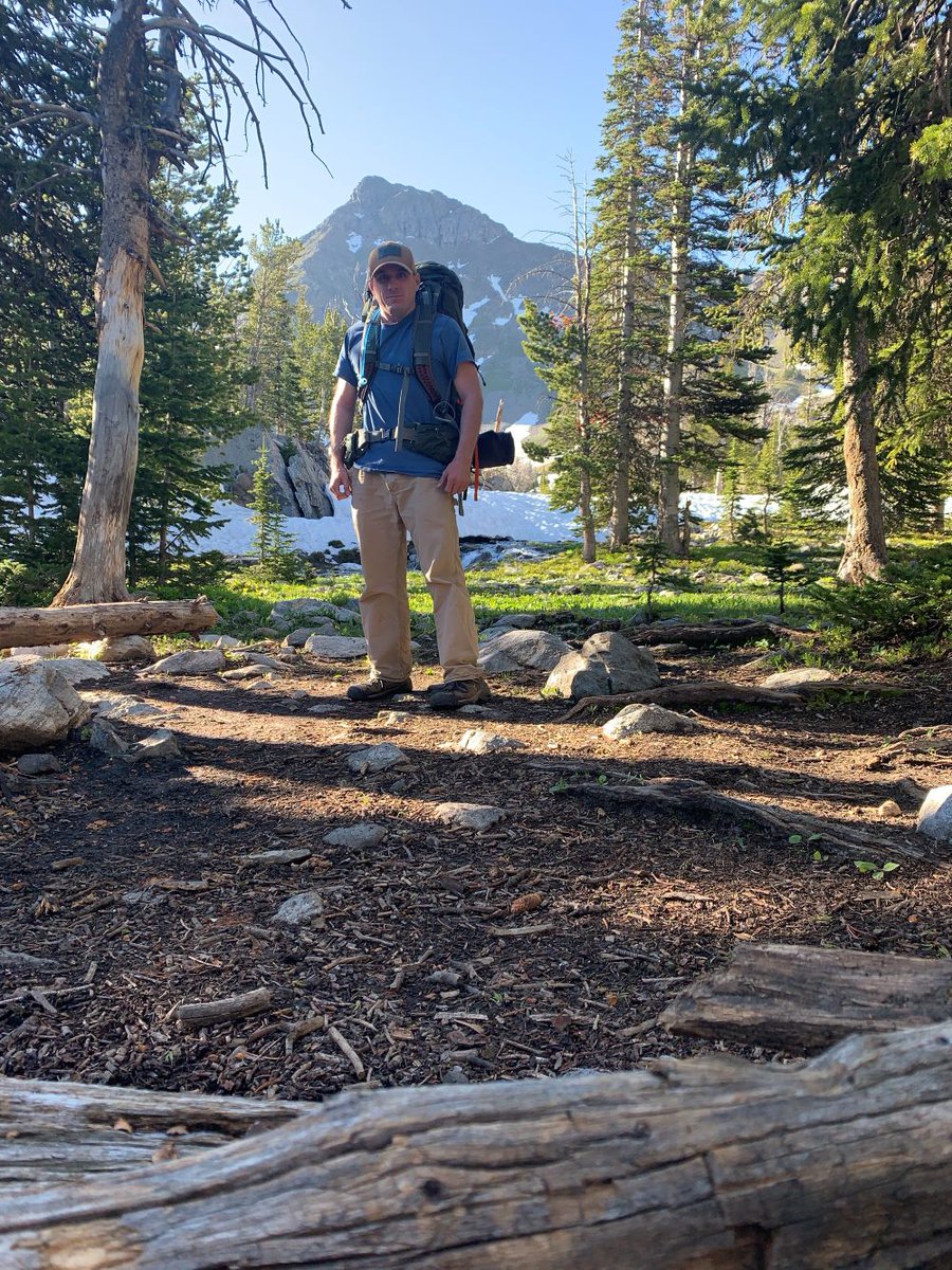 Ignis Technologies tweet media