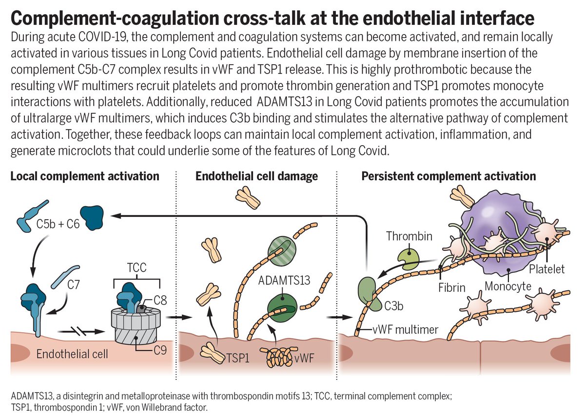 Eric Topol tweet media