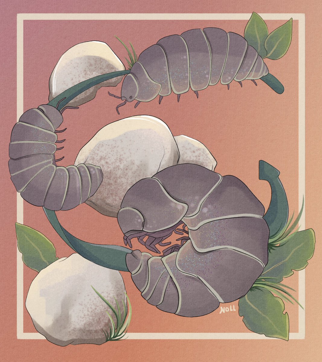 nollthere's tweet photo. Just your average pillbug in a moment of anxiety. Relatable little guys. For InsertAnInvert: week 2 - Under Rocks.🐡 #sciart #insertaninvert #illustration https://t.co/qd5799bBSP
