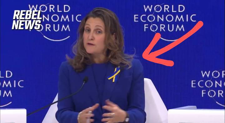 Why is the Deputy Prime Minister of Canada wearing a ribbon representing another country at an international gathering?