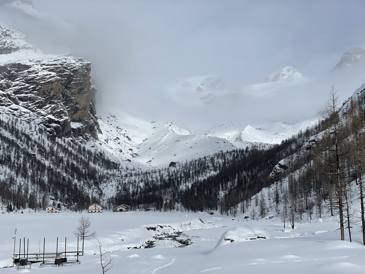 pac1954's tweet photo. Quattro Passi a pestare un po’ di neve fresca. Abbiamo incontrato solo altri due escursionisti, sensazioni varie, la nebbia nel bosco, un camoscio solitario e il sentiero intonso eravamo noi a battere la traccia. Un giretto ad anello di 8 km 517 metri D+ https://t.co/Fo0AsWgumA