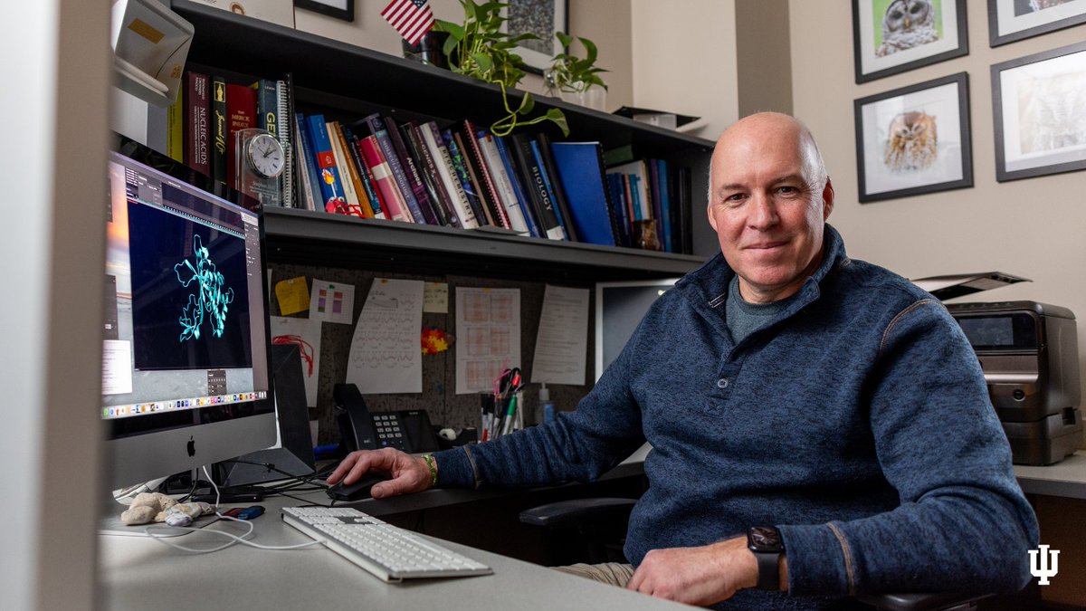 Stephen Bell, Distinguished Professor of @IUBiology, is unraveling mysteries of disease-causing DNA folding errors with the help of a $2.8 million grant from the @NIH. Learn more: bit.ly/424C17r