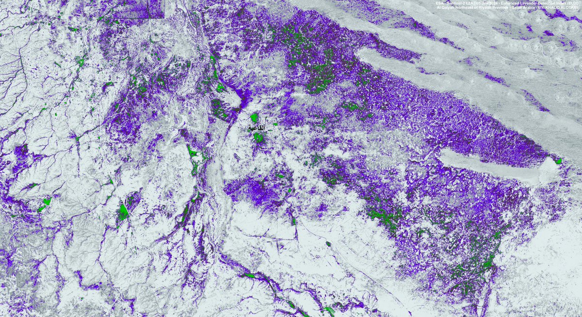 قمتُ ببناء مؤشرين لكشف ظاهرة (كثافة نباتات الخزامى حول القاعية - شمال المجمعة) هذا الموسم

استطاع هذا المؤشر (التجريبي) المطبَّق على مخرجات الساتل الأوروبي (بشكل مقبول) اكتشاف نبات الخزامى (وكذلك اليهق لأنهما بذات التردد) الخزامى واليهق ينتشران في جهات أخرى #ملخصات_الغطاء_النباتي