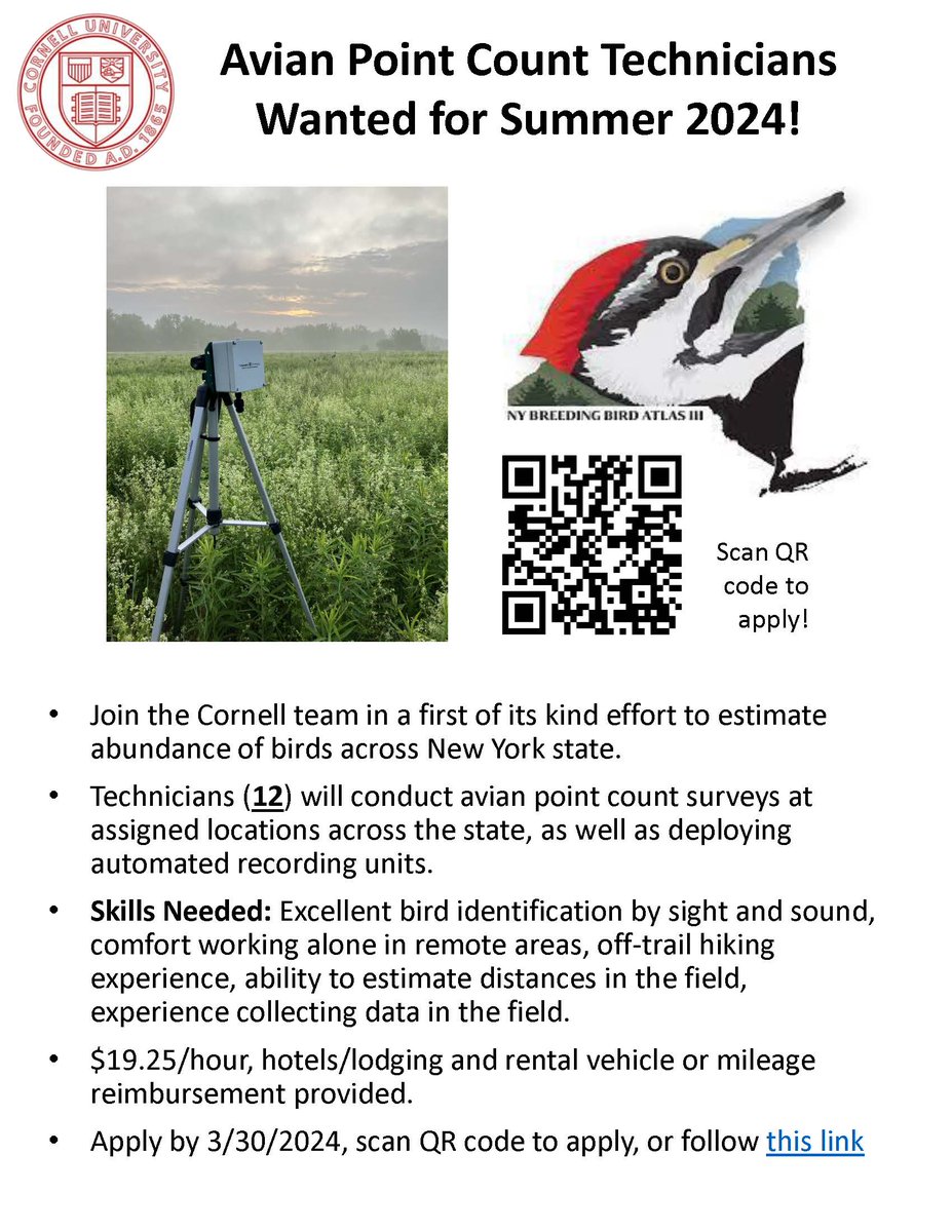 Spend the summer birding across NY! We are hiring 12 skilled birders to conduct point counts/deploy ARUs. Lodging and vehicle provided + $19.25/hr. 🐦 Please RT! tinyurl.com/PointCountTechs @CornellCALS @nybbaiii @USGSCoopUnits