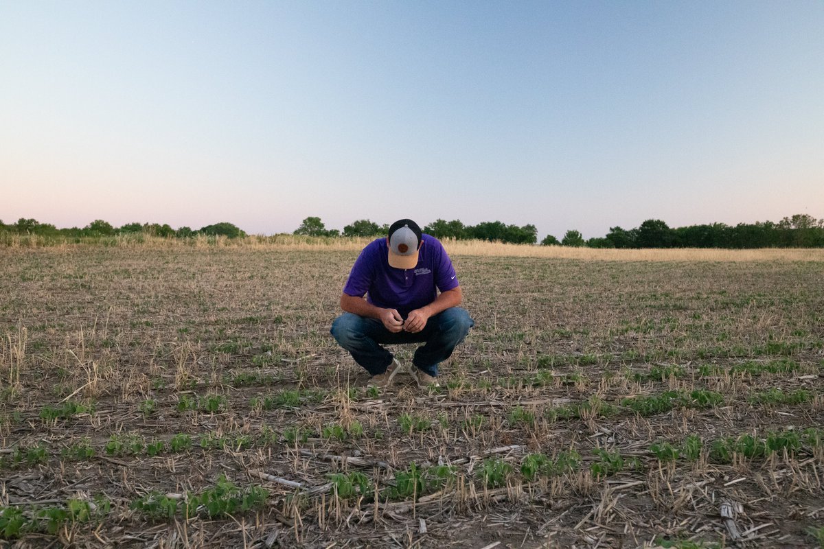 Third place in the southeast no-till dryland division went to Jared Nash, Parsons, with a 51.9 bushel-per-acre crop. Nash used <a href="/PioneerSeeds/">Pioneer Seeds U.S.</a>  P4A09E variety.