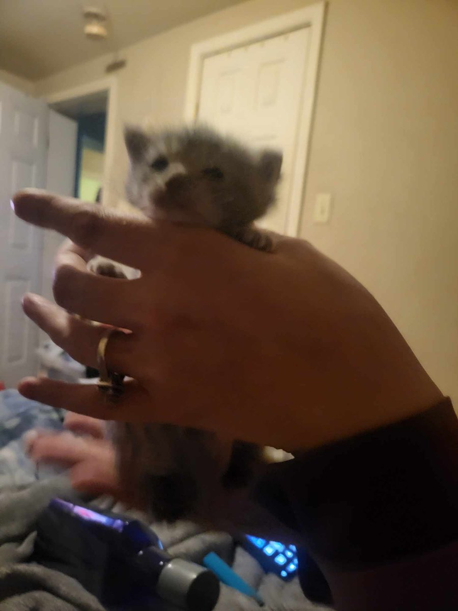 Midnight Barnes/Winchester 🇵🇸 tweet media