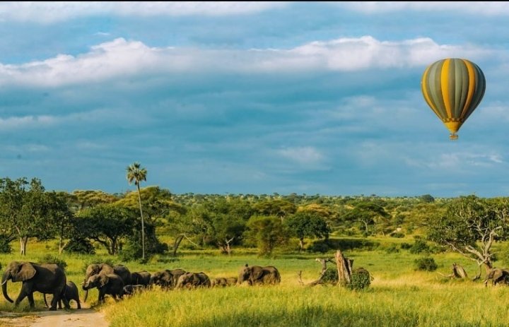 MtezoSaid's tweet photo. "Njo Whatsapp Chap" 
Nikupe offer nzuri trip ya kwenda zanzibar au Tarangire this valentines 
https://t.co/JVn17xiE3b https://t.co/ccc8cjUfmy