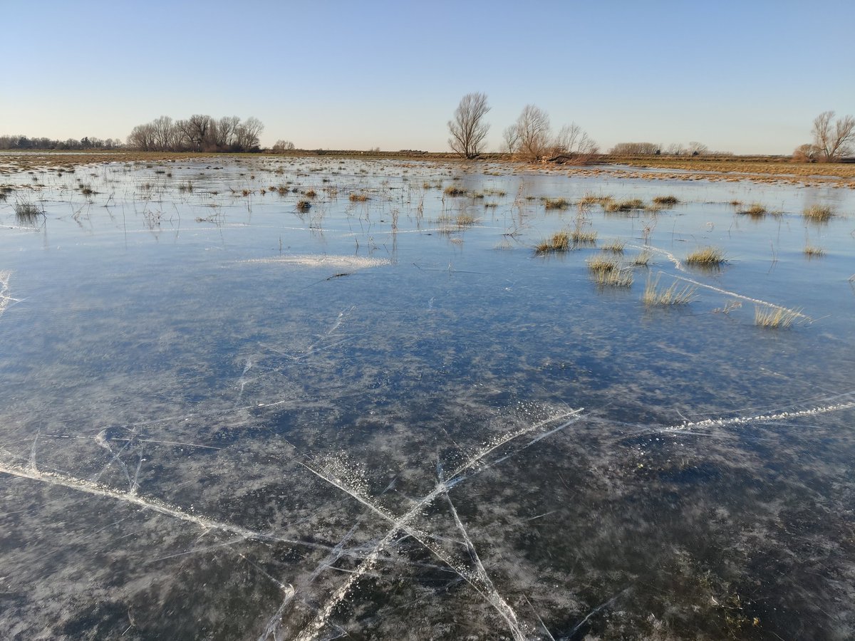 Neil Featherstone tweet media