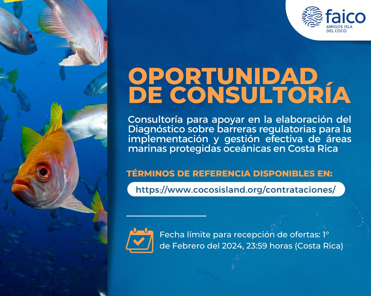 Amigos Isla del Coco (Faico) tweet media