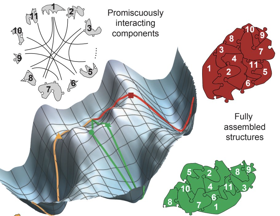 Can the intrinsic physics of multicomponent systems show neural network like computation? 
Out now: 
nature.com/articles/s4158…
Led by Constantine Evans w/ Jackson O'Brien, Erik Winfree. 
U Chicago summary: news.uchicago.edu/story/uchicago…