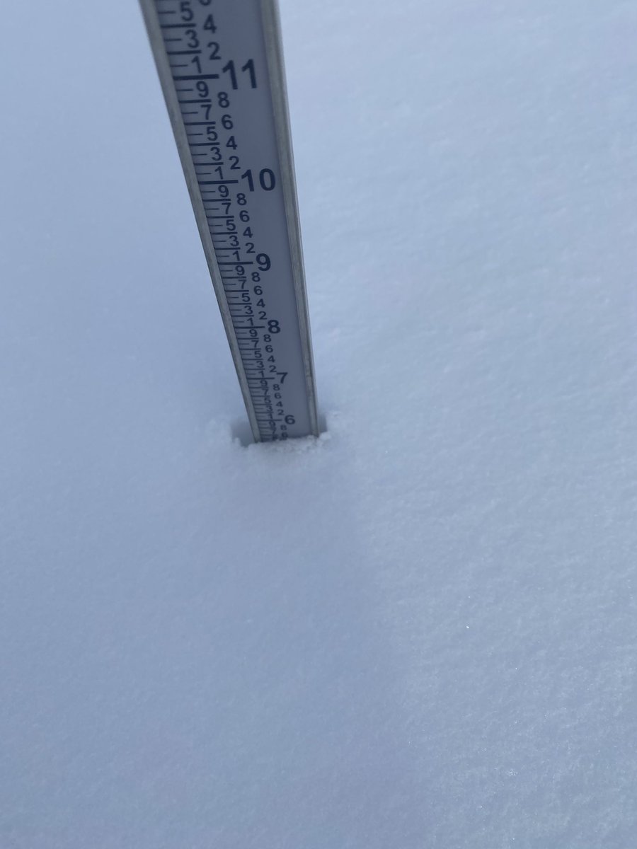 WeatherOrKnotWA's tweet photo. @NWSMissoula 5.5” of snow 1.2 miles S of Florence. Current temp is 19°F. #mtwx https://t.co/zC7hsatQw5