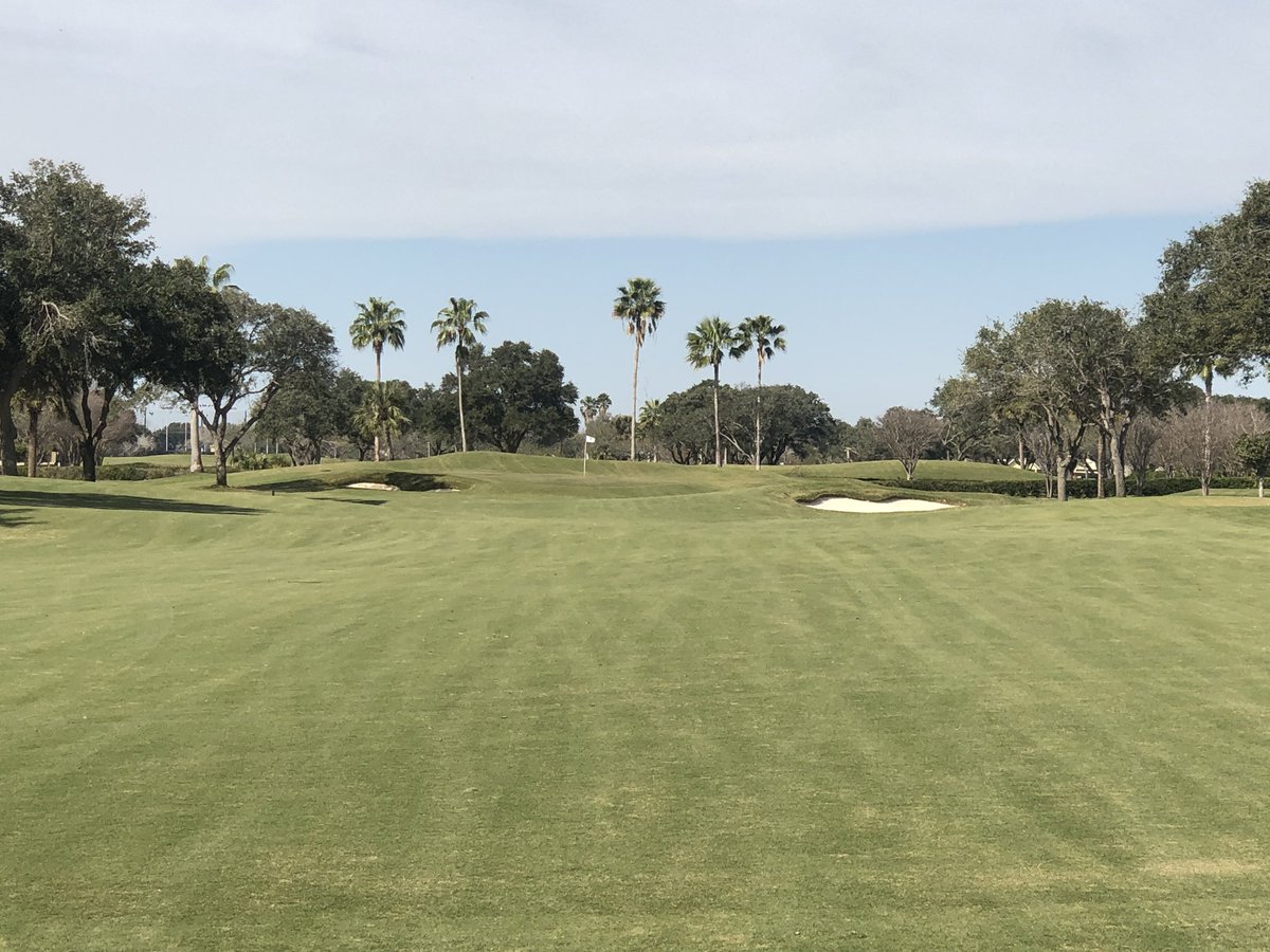 TifTuf continues to impress with color retention post freezing temps