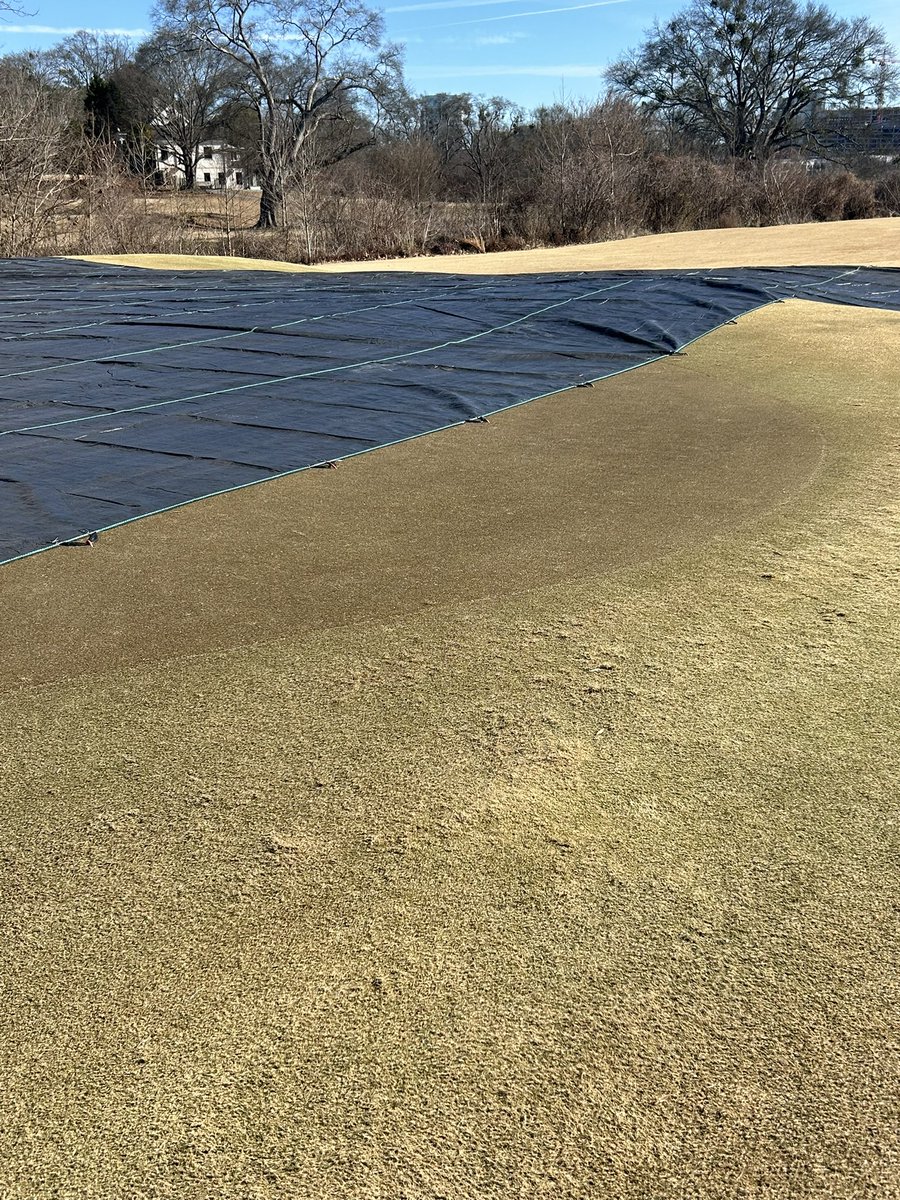 logan_rushh's tweet image. Let’s see what happens