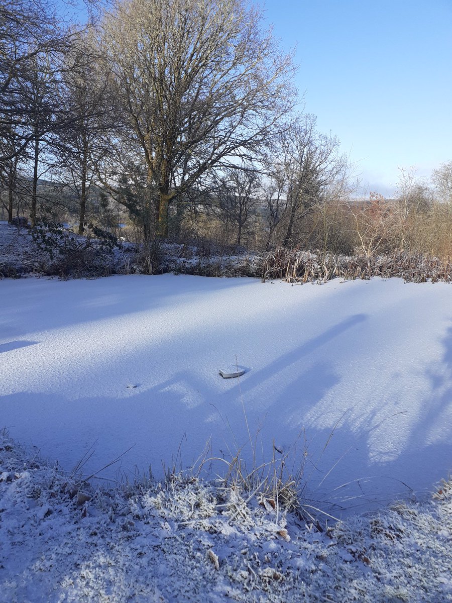 It’s definitely freezing!  Birds been fed a lot of extra food and all doing fine!  #argyllfalconry #lochawefalconry #falconrylochawe #eredinevillage #frostymorning