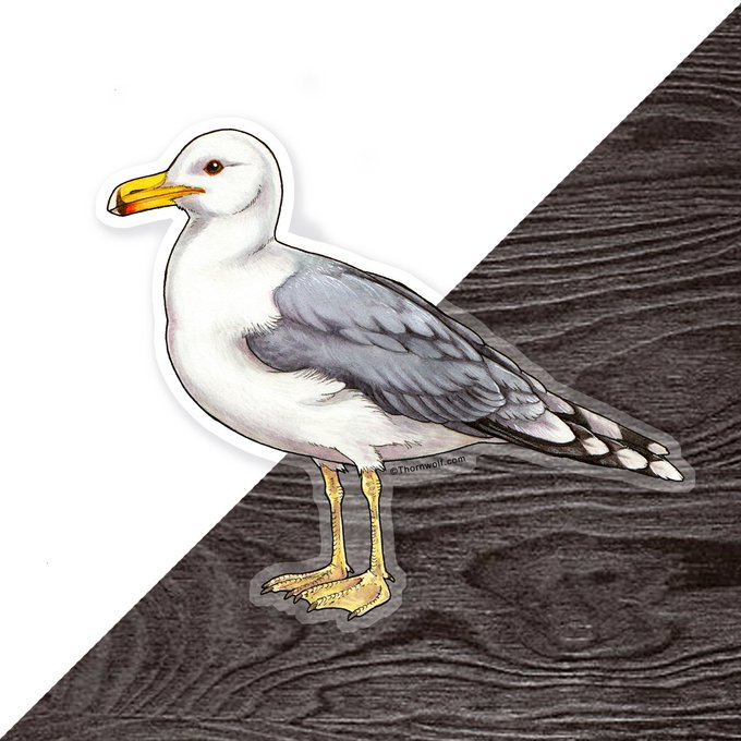 「duck traditional media」 illustration images(Latest)