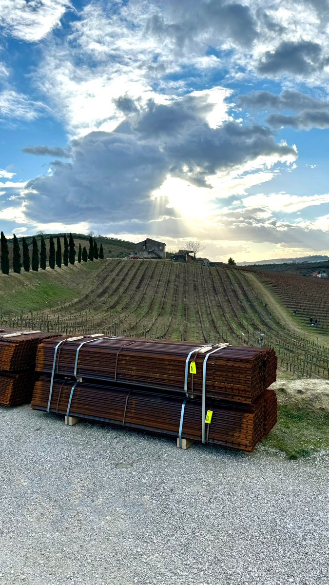 Corten Steel Poles ready for new vineyard. . Follow us...www.spinazzegroup.com