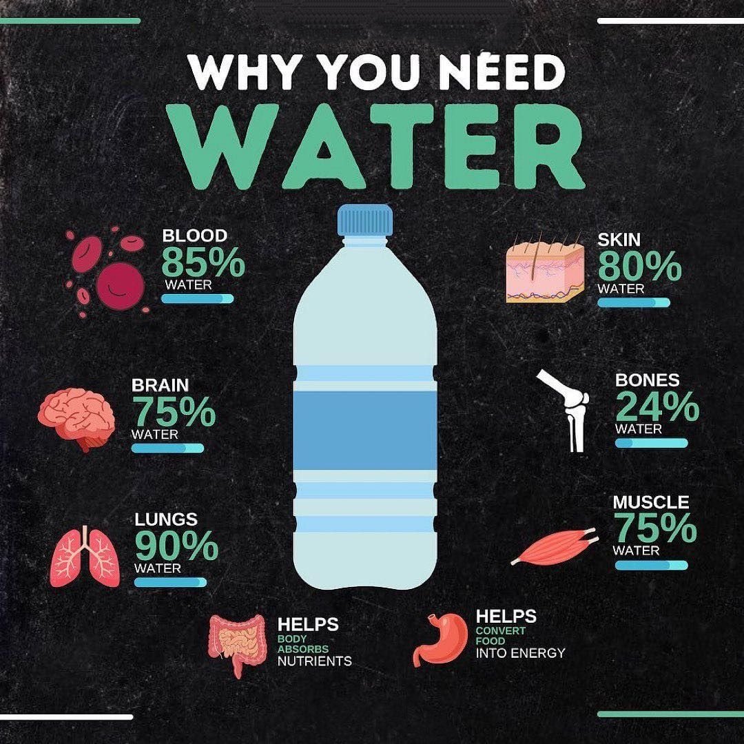 Why you need water 💦?