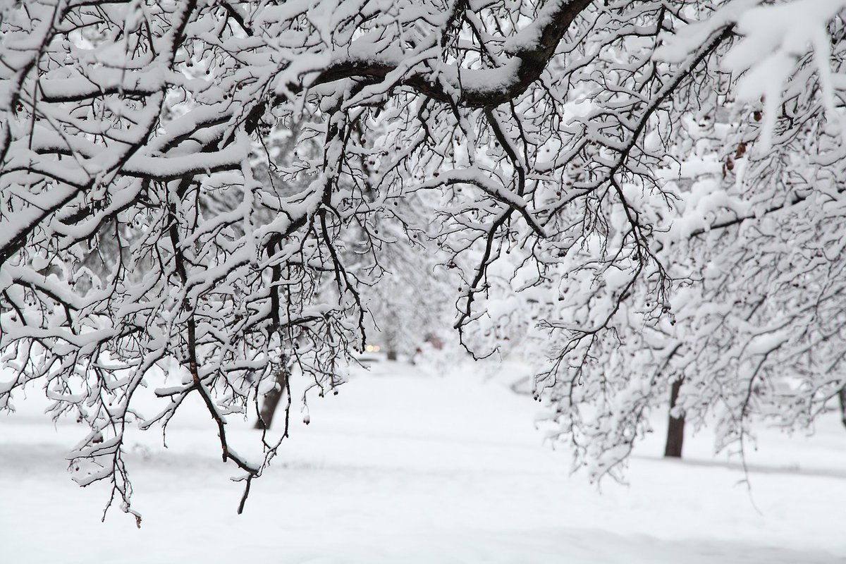 Due to the weather forecast, BUSINESS CONNECTIONS scheduled for Friday, 1/19, is CANCELLED.  We apologize for any inconvenience this may cause.