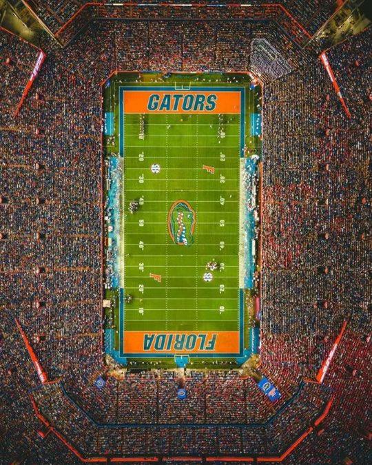 Harry Dalton III (@harry_dalton6) on Twitter photo #AGTG After a great conversation with <a href="/CoachJuluke/">Jabbar Juluke</a> I am beyond blessed to receive an offer from the University of Florida!!
<a href="/GeneralsFootbal/">Dinwiddie Football</a> <a href="/RecruitDHS1/">Dinwiddie Recruiting</a> <a href="/FloridaGators/">Florida Gators</a> <a href="/FLRecruits/">Florida Recruiting</a> <a href="/coach_bnapier/">COACH BILLY NAPIER</a> #AGTG After a great conversation with <a href="/CoachJuluke/">Jabbar Juluke</a> I am beyond blessed to receive an offer from the University of Florida!!
<a href="/GeneralsFootbal/">Dinwiddie Football</a> <a href="/RecruitDHS1/">Dinwiddie Recruiting</a> <a href="/FloridaGators/">Florida Gators</a> <a href="/FLRecruits/">Florida Recruiting</a> <a href="/coach_bnapier/">COACH BILLY NAPIER</a>