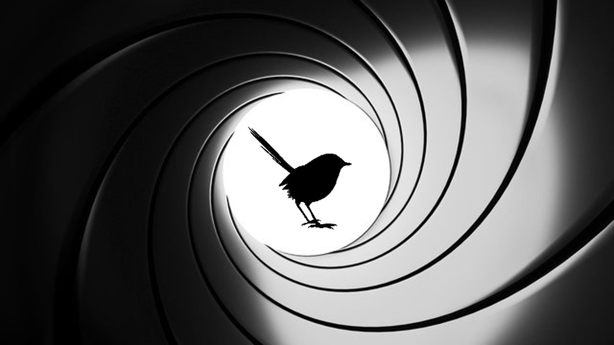 Turner et al. - 'No time to die: Temporal patterns of nest predation in a multi-brooded Southern Hemisphere passerine bird [#superbfairywrens]'. Out now as a preprint on <a href="/ecoevorxiv/">@EcoEvoRxiv</a>. 

🔗: doi.org/10.32942/X2832W