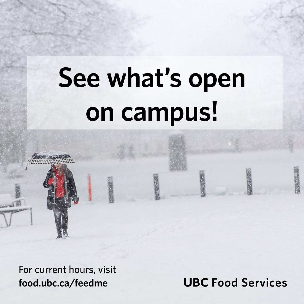 UBC Food Services tweet media