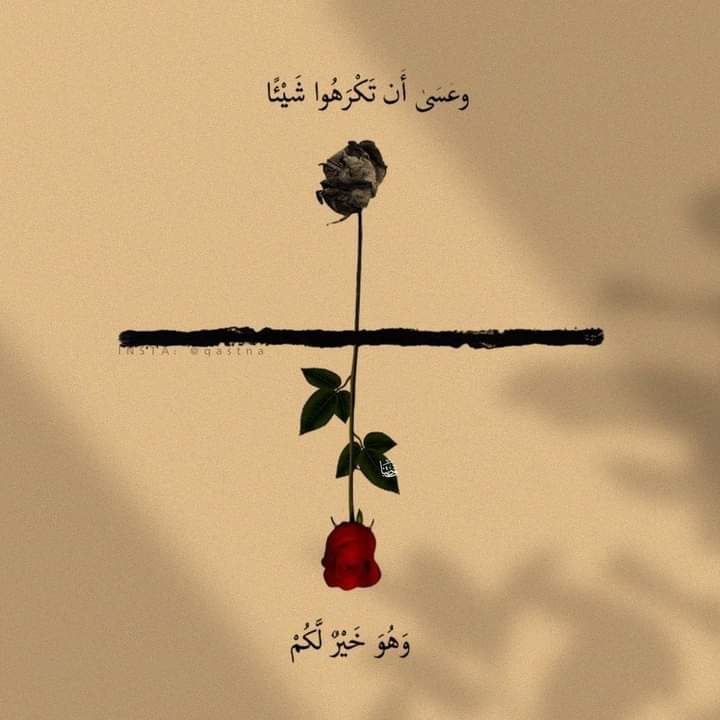 ۞وَعَسَىٰ أَن تُحِبُّوا شَيْئًا وَهُوَ شَرٌّ لَّكُمْ۞...
 تخليت عن خطتي، أريد خُطة الله.♥️