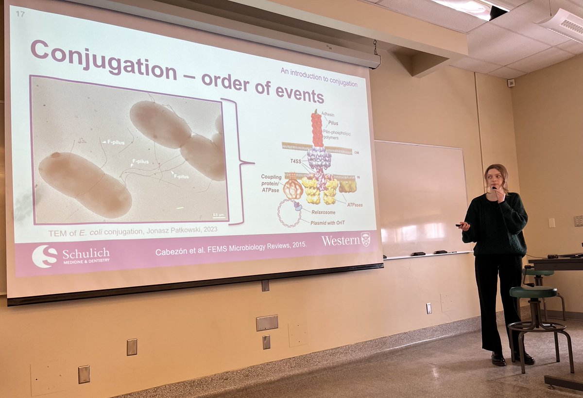 Karas Lab (@karaslab) on Twitter photo <a href="/ejlwalker/">Emma Jane Walker</a> gave a great lecture about use of bacterial conjugation in SynBio applications <a href="/westernuBiochem/">Biochemistry</a> <a href="/SchulichMedDent/">Schulich WesternU</a> <a href="/ejlwalker/">Emma Jane Walker</a> gave a great lecture about use of bacterial conjugation in SynBio applications <a href="/westernuBiochem/">Biochemistry</a> <a href="/SchulichMedDent/">Schulich WesternU</a>
