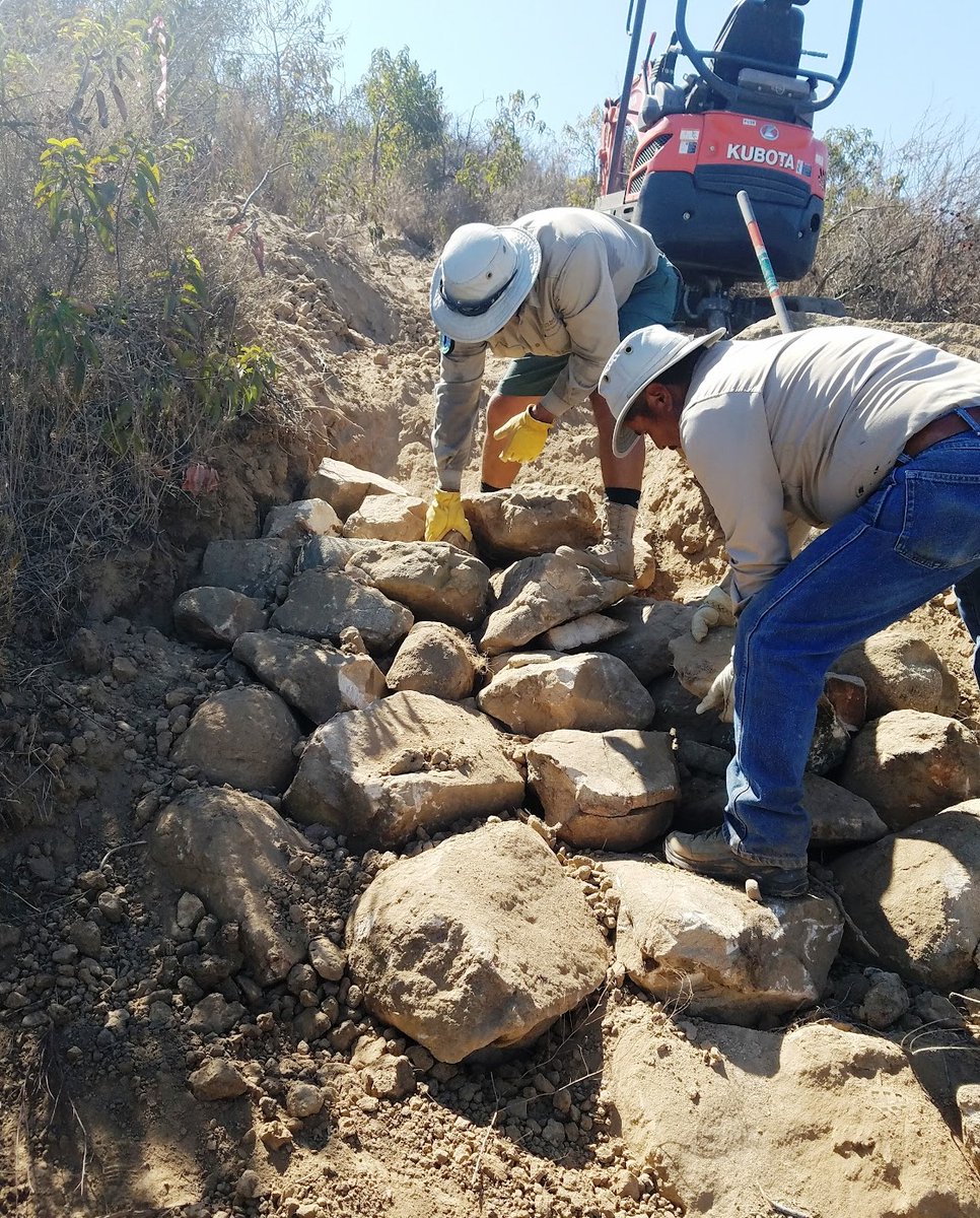 Our thoughtfully planned system of roads, trail and signage ensures safe access to remote areas. Our expert team manages the land continuously, allowing the public to enjoy nature To learn more about our planning and infrastructure efforts, visit bit.ly/3nDBntT.