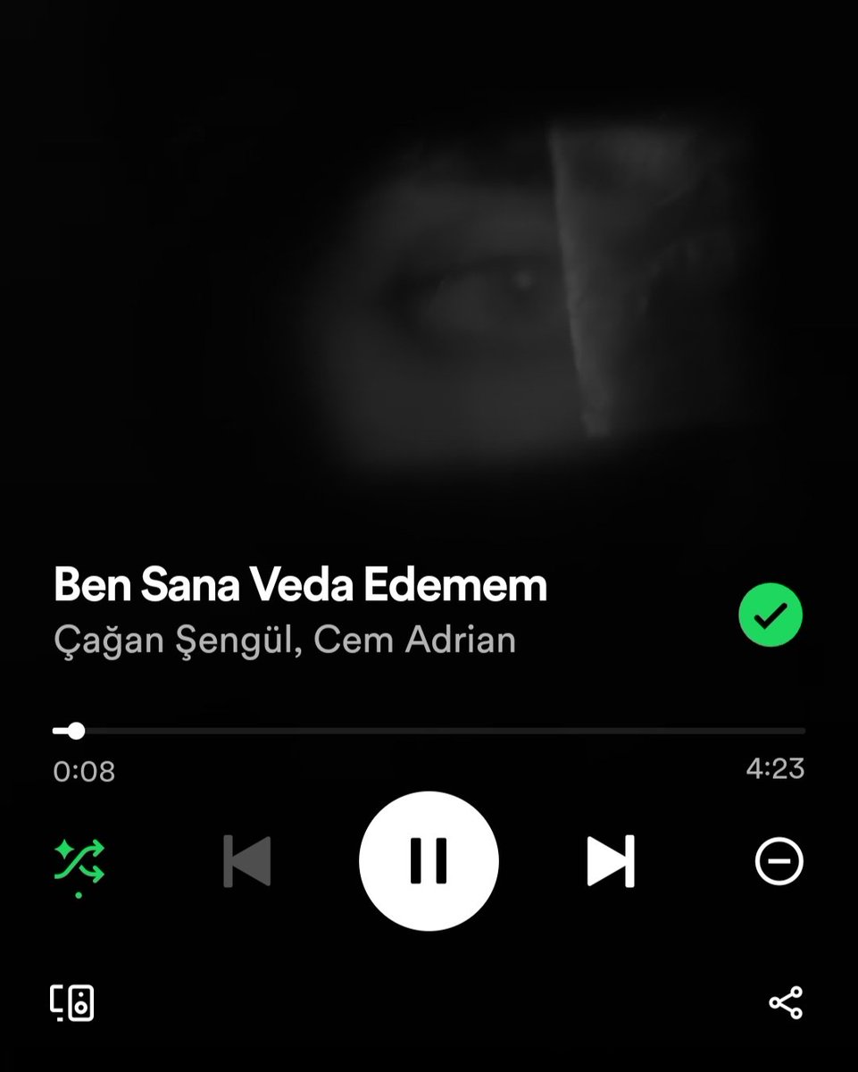 "Ben seni uğurlamaya gelemem. 
Son kez gülersin evime dönemem."