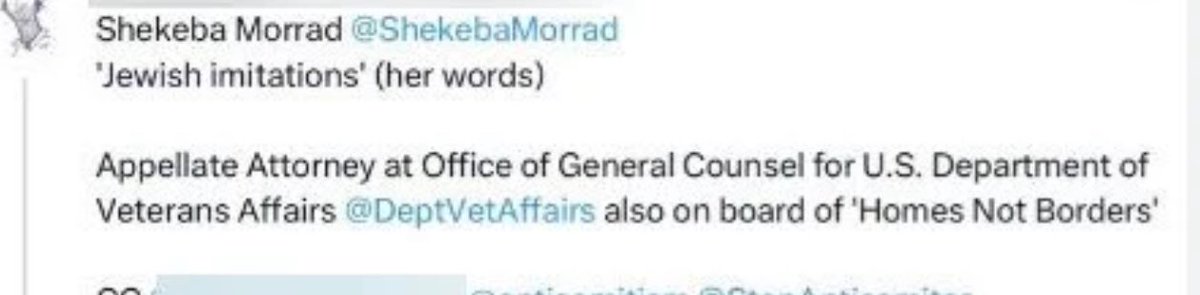 Shirion Collective tweet media