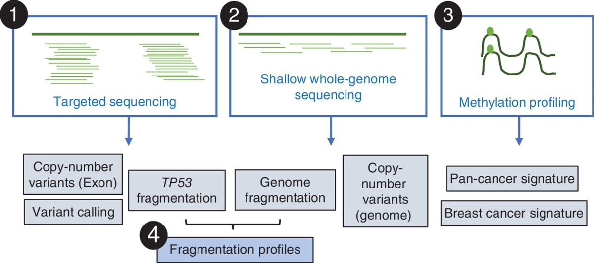 Cancer Discovery (@cd_aacr) on Twitter photo In the Spotlight: Is It Time to Incorporate #LiquidBiopsy into High-risk Cancer Surveillance Protocols in Li-Fraumeni Syndrome?— by <a href="/AliciaLatham10/">Alicia Latham, MD,MS</a>, <a href="/StadlerZsofia/">Zsofia Stadler</a> et al.
bit.ly/3vI9ybD
<a href="/MSKCancerCenter/">Memorial Sloan Kettering Cancer Center</a> In the Spotlight: Is It Time to Incorporate #LiquidBiopsy into High-risk Cancer Surveillance Protocols in Li-Fraumeni Syndrome?— by <a href="/AliciaLatham10/">Alicia Latham, MD,MS</a>, <a href="/StadlerZsofia/">Zsofia Stadler</a> et al.
bit.ly/3vI9ybD
<a href="/MSKCancerCenter/">Memorial Sloan Kettering Cancer Center</a>