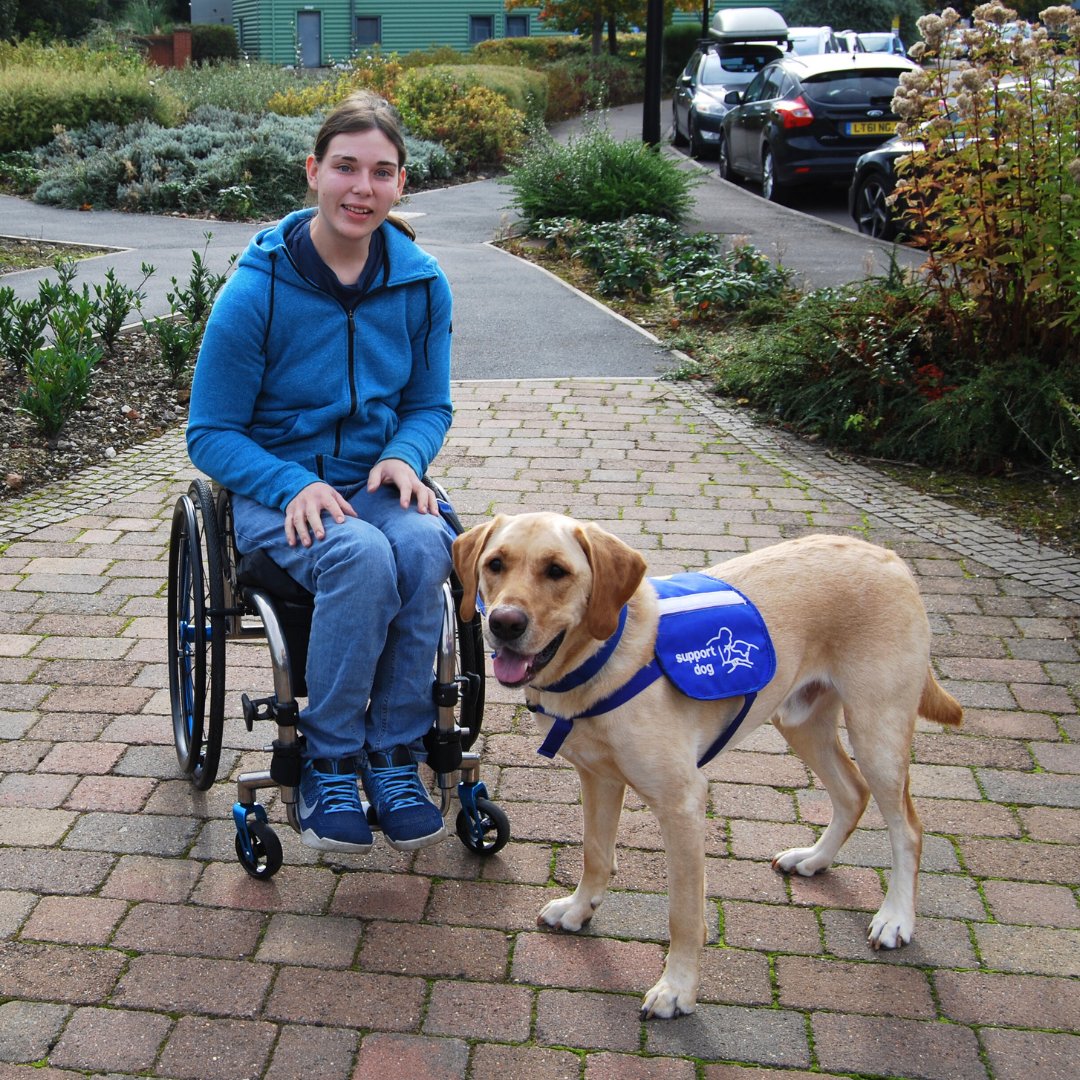 We have recently updated the criteria for our #disability assistance dog programme. We are now able to accept dogs who are aged between 1 and 3 years old at the point of #application.