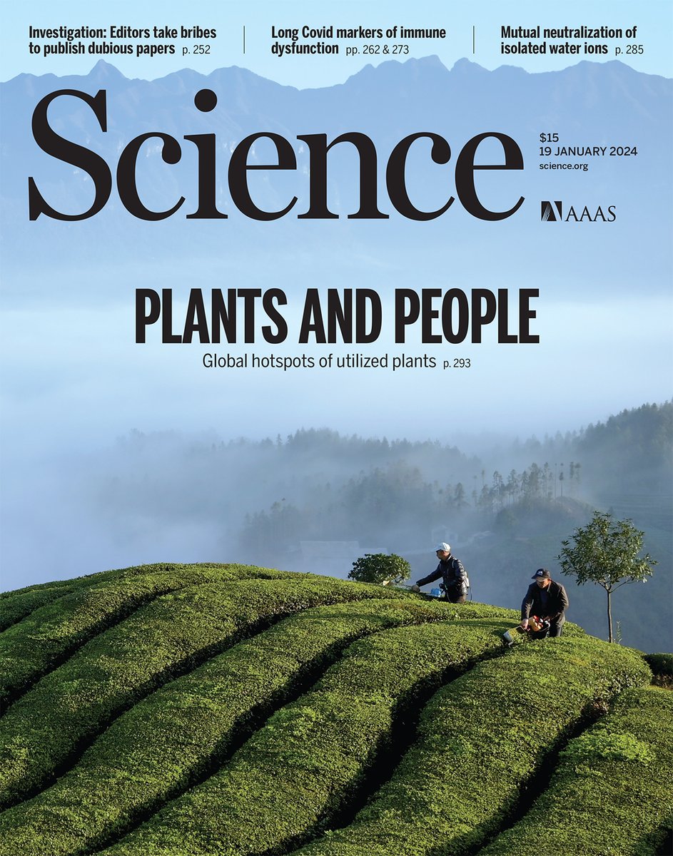 Science Magazine (@sciencemagazine) on Twitter photo Plants sustain human life.
A new Science study looks at the global distribution of more than 35,000 utilized plant species spanning 10 use categories. The results suggest a need to preserve biocultural diversity hotspots. Learn more in this week's issue: scim.ag/5z7 Plants sustain human life.
A new Science study looks at the global distribution of more than 35,000 utilized plant species spanning 10 use categories. The results suggest a need to preserve biocultural diversity hotspots. Learn more in this week's issue: scim.ag/5z7