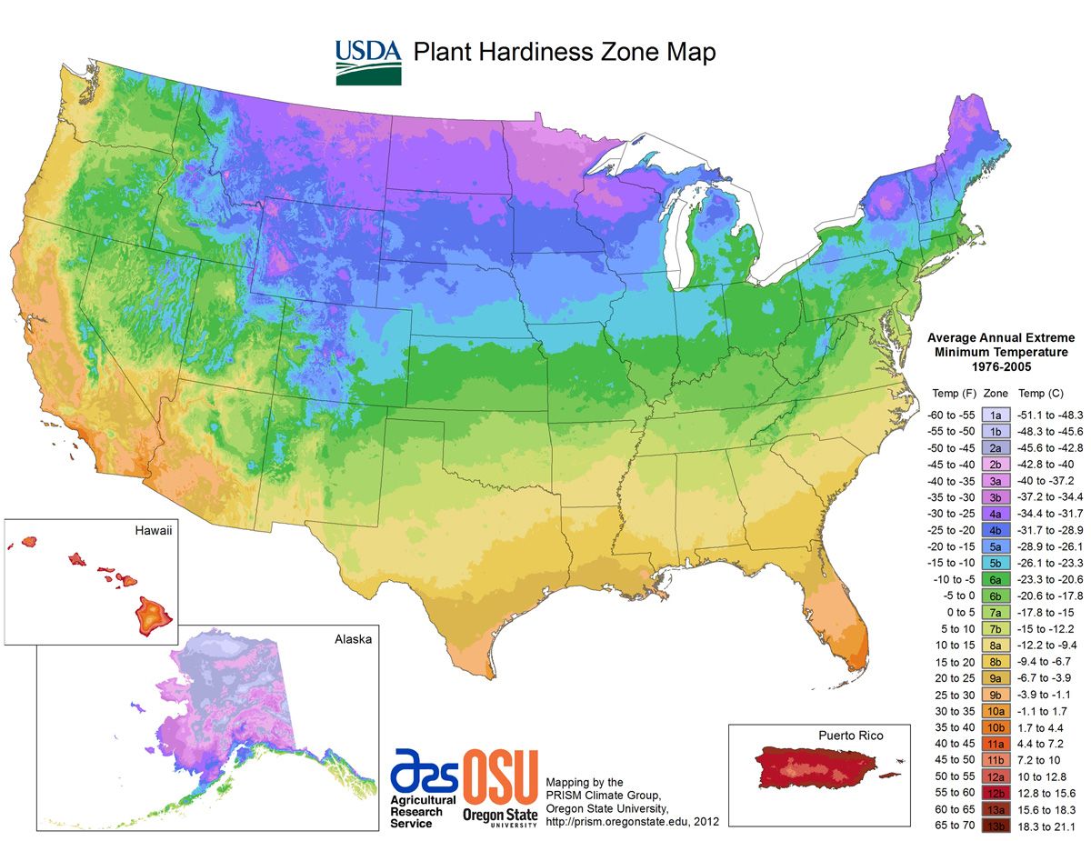 'It feels like I'm not crazy.' Gardeners aren't surprised as USDA updates key map npr.org/2023/11/17/121…