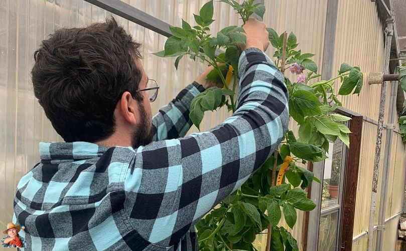 potatosystem1's tweet image. Harnessing DNA Science for Climate-Resilient Varieties
#PotatoBreeding #ClimateResilience #DNAScience #AgriculturalInnovation #MainePotatoes #SustainableFarming In the heart of Maine’s changing climate, the University of Maine’s potato breedin...
potatoes.news/harnessing-dna…