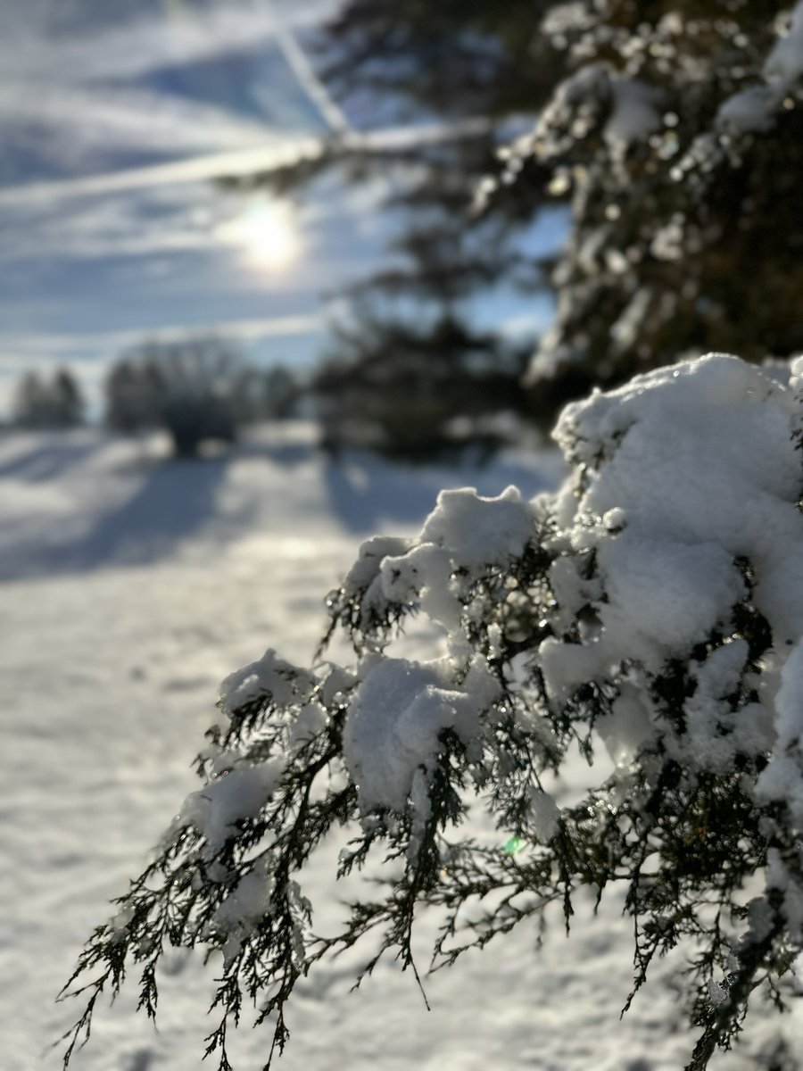 WarriorsPathGC tweet media