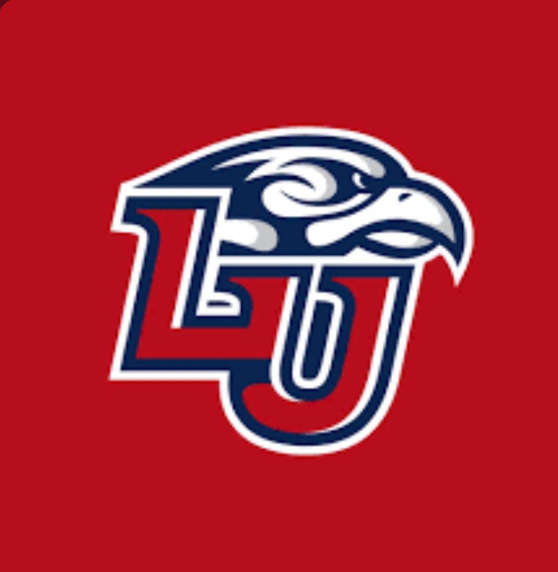 Blessed to receive a division one offer from Liberty University @LibertyFootball @acoachingrev @BillLiedy @CoachDrew__ @football_cghsnc @Tony_TDUB