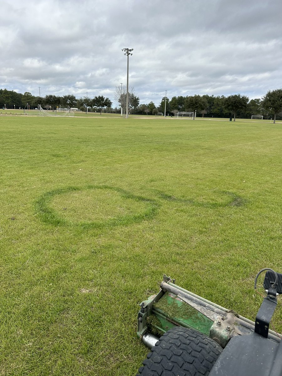 Andrew Bridges tweet media