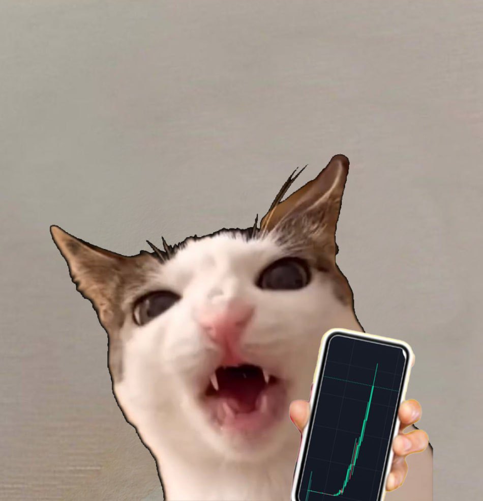 crunchcatsol's tweet photo. Crunchcat 🐈🐾 just joined the SolanaMobile movement as she aims to $crunch higher,
and we all know a mobile phone without a cat crunching in it isn’t mobile enough 

A $CRUNCH whale has pre-ordered 5 Solana Chapter 2 Sagas and is apparently thinking about buying more 🫨 join the fun and support the takeover of the duopoly by ordering using our whales link here - https://t.co/yD1l5TNSGe

@toly @rajgokal @solanamobile